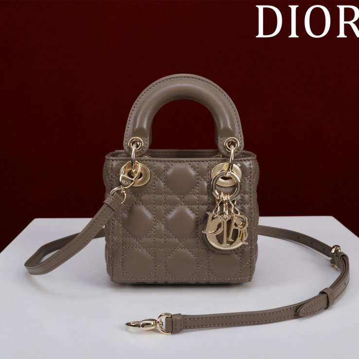 chr1st1an D10r my lady bags